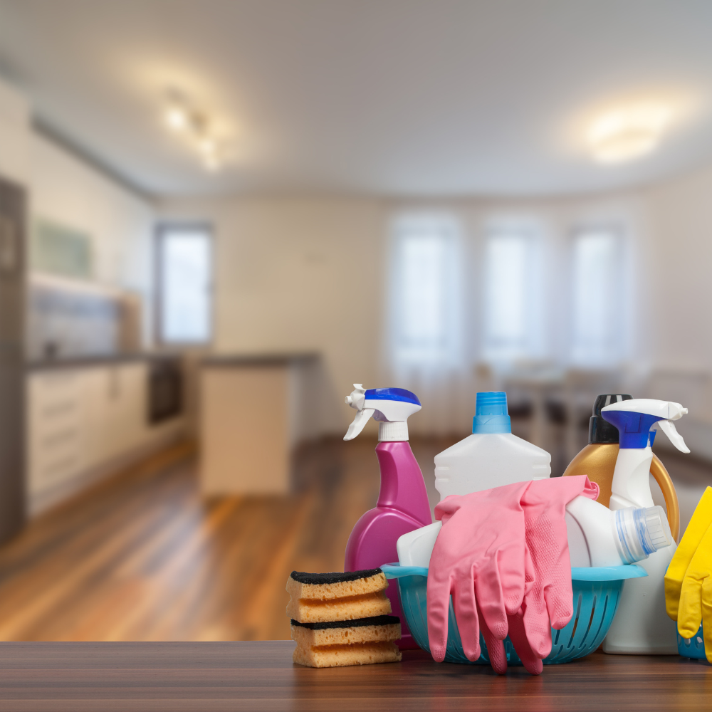 House Cleaning
