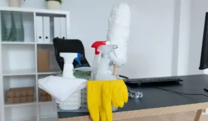 How to Choose the Best Professional Cleaning Company for Your Needs